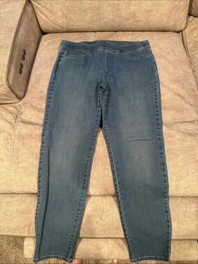 Gloria Vanderbilt Blue Stretch Jeggings